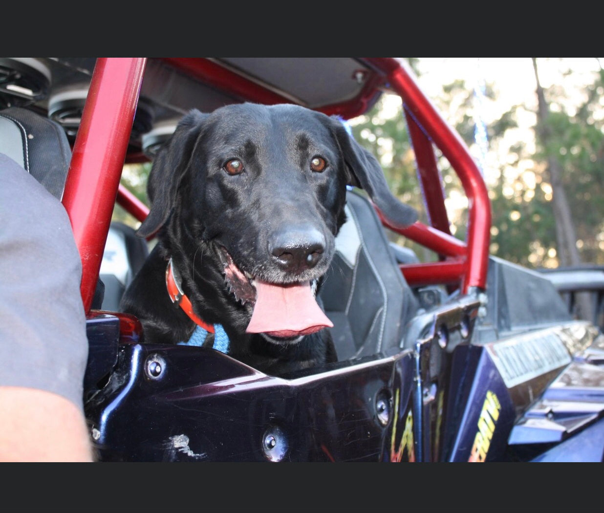 Reaves Offroad Powersports & Accessories